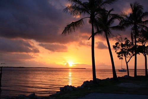 Sunset in key largo over looking water