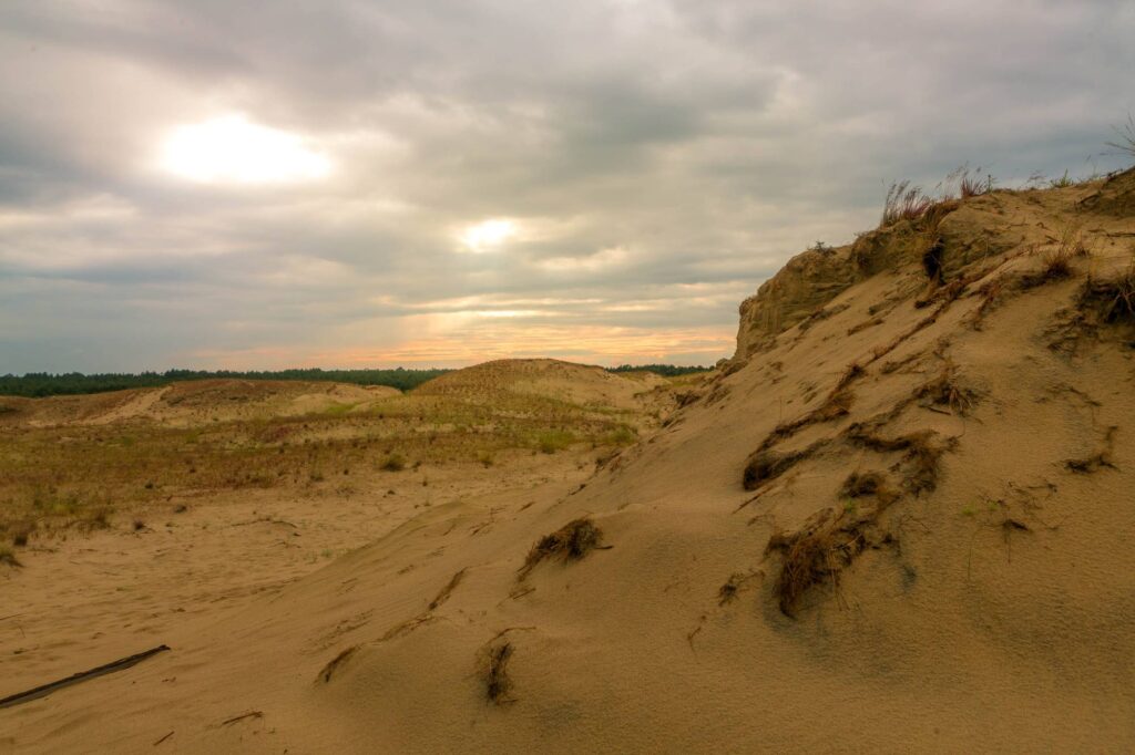 The sand dunes of the Curonian Spit in Lithuania at Sunset