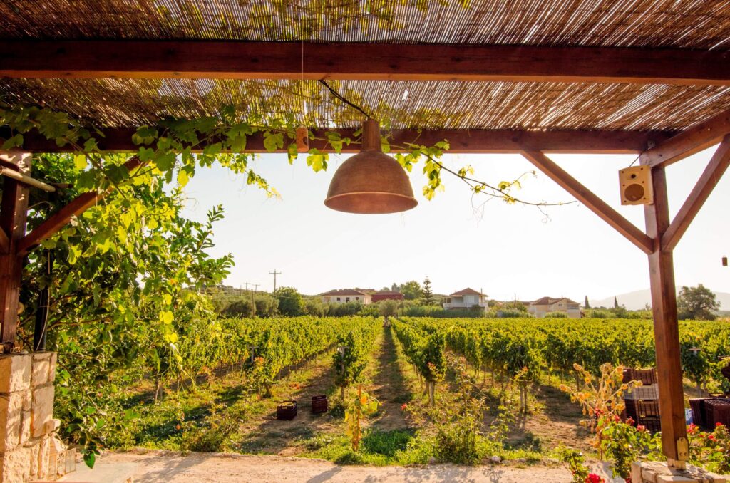 Grampsas Winery in Zakynthos