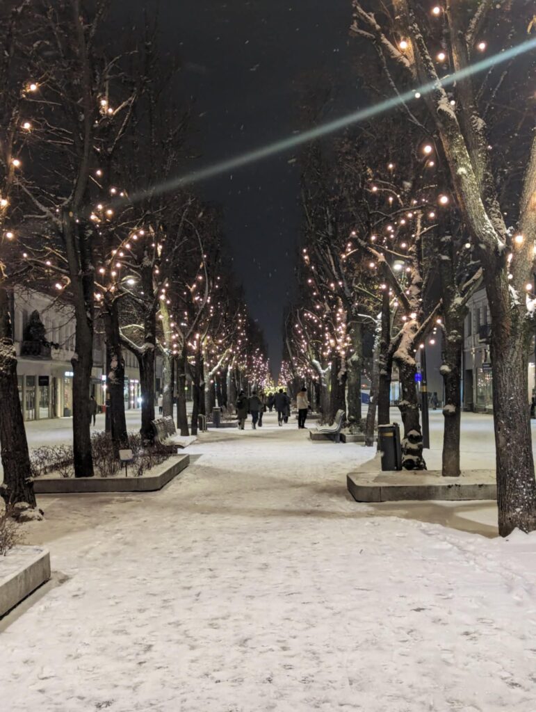 A walking street in Kaunas Lithuania