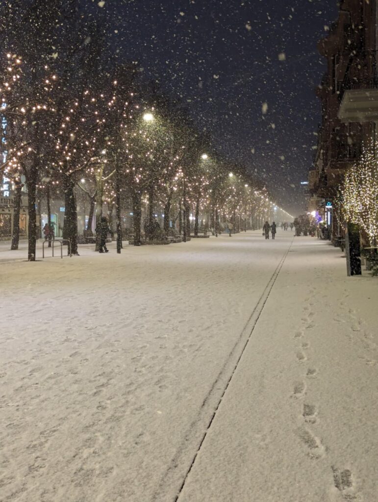 laisves aleja kaunas in winter